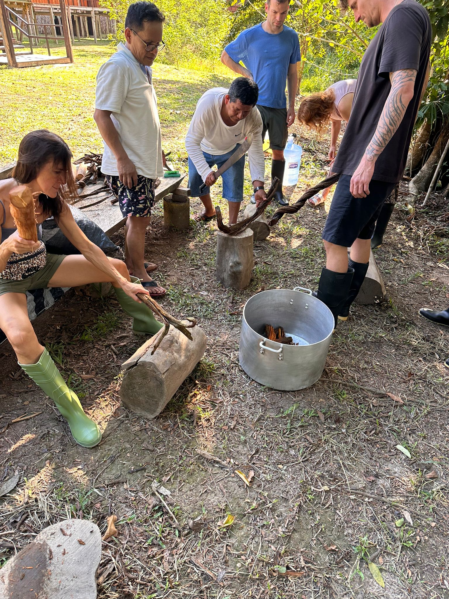 Preparing the ayahuasca brew