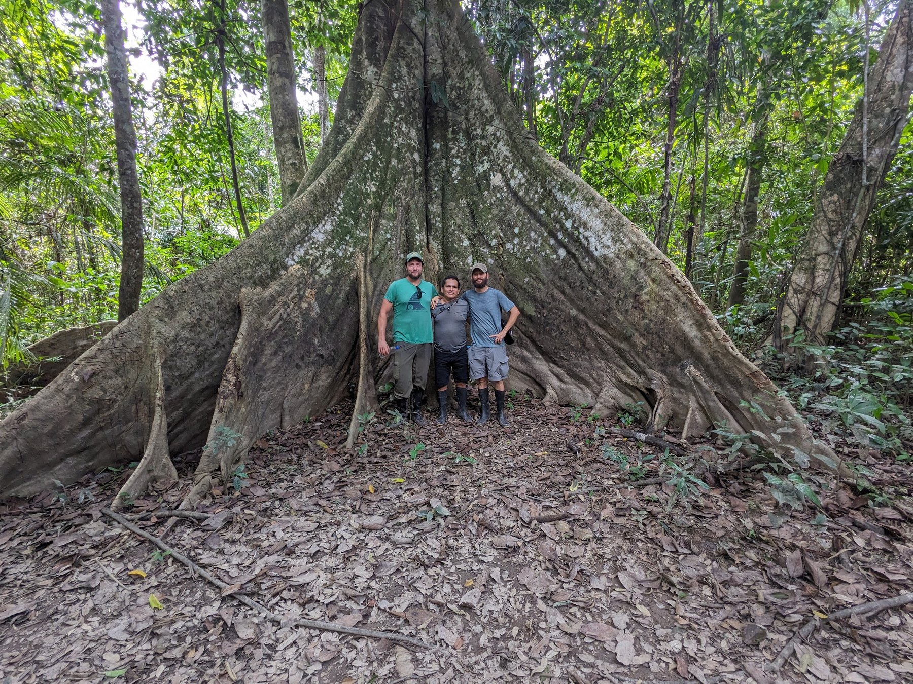A group of people standing together beneath the massive buttress roots of a giant Amazon rainforest tree